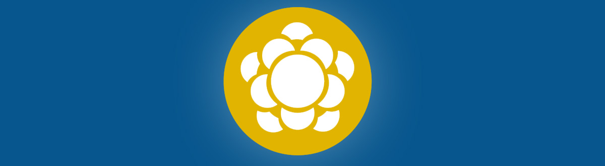 Meng Qi